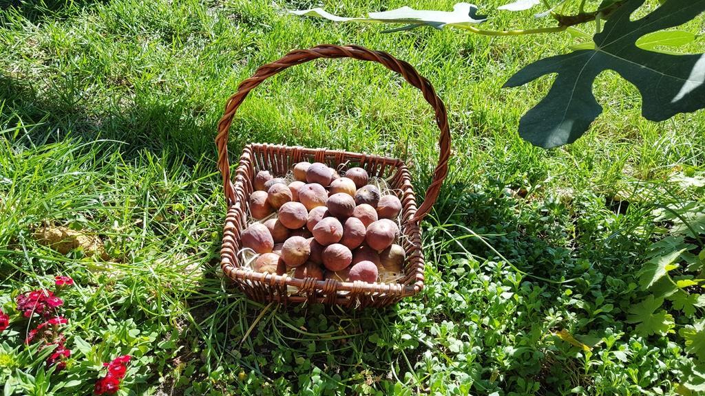 The Wild Fig Ξενοδοχείο Σούμεν Εξωτερικό φωτογραφία